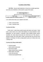 Referāts 'Valodas funkcionēšana un kultūra', 4.