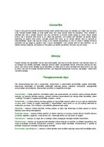 Referāts 'Personas raksturojums', 2.