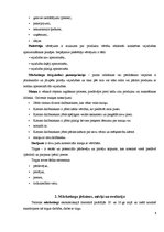 Referāts 'Mārketings', 6.