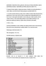 Referāts 'Tūrisma maršruta Rīga-Itālija-Rīga izstrādāšana', 16.