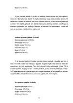 Referāts 'Tūrisma maršruta Rīga-Itālija-Rīga izstrādāšana', 20.