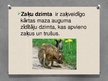 Prezentācija 'Zaķu dzimta', 2.