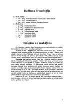 Referāts 'Budisms', 8.