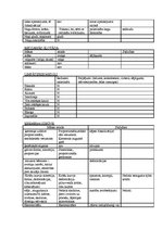 Prakses atskaite 'Pediatrisko pacientu aprūpes plāns māsām', 7.