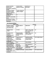 Prakses atskaite 'Pediatrisko pacientu aprūpes plāns māsām', 8.