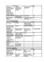 Prakses atskaite 'Pediatrisko pacientu aprūpes plāns māsām', 9.