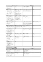 Prakses atskaite 'Pediatrisko pacientu aprūpes plāns māsām', 10.