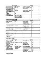 Prakses atskaite 'Pediatrisko pacientu aprūpes plāns māsām', 11.