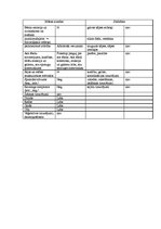 Prakses atskaite 'Pediatrisko pacientu aprūpes plāns māsām', 12.