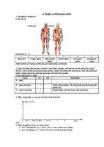 Prakses atskaite 'Pediatrisko pacientu aprūpes plāns māsām', 13.