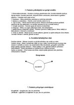 Prakses atskaite 'Pediatrisko pacientu aprūpes plāns māsām', 14.