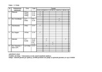 Prakses atskaite 'Pediatrisko pacientu aprūpes plāns māsām', 20.