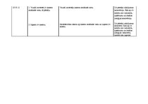 Prakses atskaite 'Pediatrisko pacientu aprūpes plāns māsām', 29.