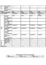 Prakses atskaite 'Pediatrisko pacientu aprūpes plāns māsām', 31.