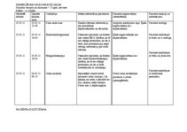Prakses atskaite 'Pediatrisko pacientu aprūpes plāns māsām', 33.