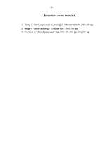 Referāts 'Problēmsituācija, tās apskats un risinājums', 6.