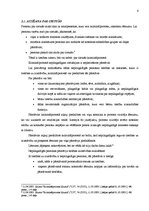 Referāts 'Nepilngadīgas personas statuss kriminālprocesā', 6.