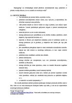 Referāts 'Nepilngadīgas personas statuss kriminālprocesā', 8.