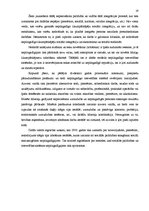 Referāts 'Nepilngadīgas personas statuss kriminālprocesā', 19.