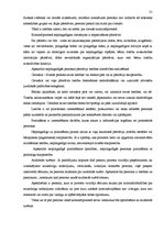 Referāts 'Nepilngadīgas personas statuss kriminālprocesā', 21.