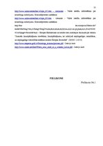 Referāts 'Nepilngadīgas personas statuss kriminālprocesā', 23.