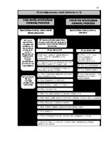 Referāts 'Nepilngadīgas personas statuss kriminālprocesā', 24.