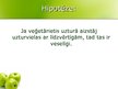 Prezentācija 'Veģetārais uzturs', 4.