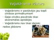 Prezentācija 'Veģetārais uzturs', 7.