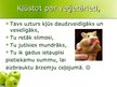 Prezentācija 'Veģetārais uzturs', 8.