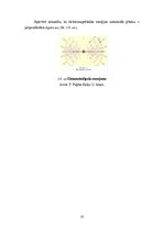 Referāts 'Pārejas procesi. Komutācijas likumi. Mehāniskie viļņi. Elektromagnētiskie viļņi', 25.