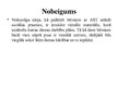 Prezentācija 'Sosiālo prasmju attīstība pirmsskolas vēcuma bērniem ar autiska spektra traucēju', 10.