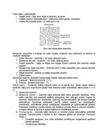 Konspekts 'Silikāti. Eksāmena jautājumu atbildes', 6.