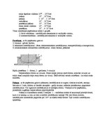 Konspekts 'Silikāti. Eksāmena jautājumu atbildes', 11.