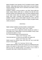 Referāts 'Sālsskābe', 2.