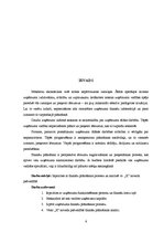 Referāts 'Uzņēmuma finanšu plānošanas process un analīze "X" novada pašvaldībā', 6.