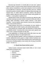 Referāts 'Uzņēmuma finanšu plānošanas process un analīze "X" novada pašvaldībā', 8.