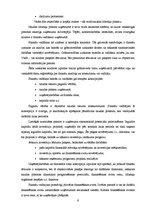 Referāts 'Uzņēmuma finanšu plānošanas process un analīze "X" novada pašvaldībā', 9.