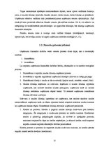 Referāts 'Uzņēmuma finanšu plānošanas process un analīze "X" novada pašvaldībā', 10.