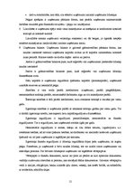 Referāts 'Uzņēmuma finanšu plānošanas process un analīze "X" novada pašvaldībā', 12.