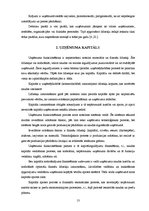 Referāts 'Uzņēmuma finanšu plānošanas process un analīze "X" novada pašvaldībā', 13.