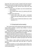 Referāts 'Uzņēmuma finanšu plānošanas process un analīze "X" novada pašvaldībā', 17.