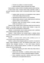 Referāts 'Uzņēmuma finanšu plānošanas process un analīze "X" novada pašvaldībā', 20.