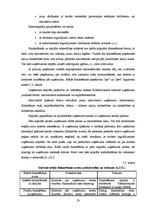 Referāts 'Uzņēmuma finanšu plānošanas process un analīze "X" novada pašvaldībā', 23.