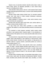 Referāts 'Uzņēmuma finanšu plānošanas process un analīze "X" novada pašvaldībā', 27.