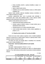 Referāts 'Uzņēmuma finanšu plānošanas process un analīze "X" novada pašvaldībā', 29.