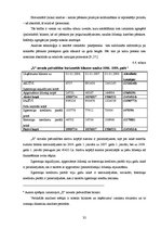 Referāts 'Uzņēmuma finanšu plānošanas process un analīze "X" novada pašvaldībā', 32.