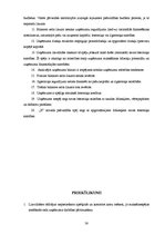 Referāts 'Uzņēmuma finanšu plānošanas process un analīze "X" novada pašvaldībā', 38.