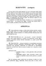 Referāts 'Uztvere', 5.