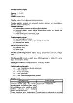 Konspekts 'Latviešu valodas mācību stundas konspekts', 1.