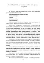 Diplomdarbs 'Patvēruma meklētāju tiesības un to realizācija', 29.